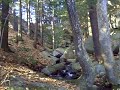 Stream panorama