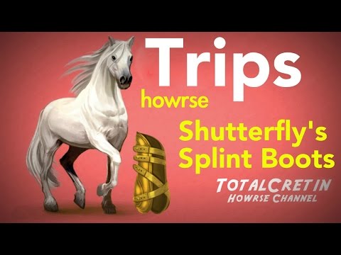 how to start off your ec on howrse