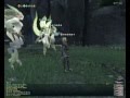 FFXI Ouryu fight
