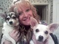doggies