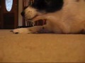 Rigby Taunts Her Food