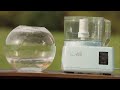  fish funny prank weird viral mince tange blender