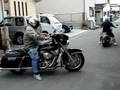 harley davidson FLSTF &  FLHT