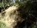 Auuuuuuu... Trekking 7� Per�odo UNILESTEMG-14-06-2008