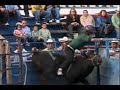 jaripeo de toros terrero huapango 