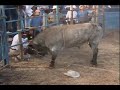 Jaripeo de Toros(Terrero-Huapango) Jaripeo de Toros(Terrero-Huapango)