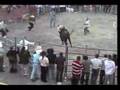 Jaripeo de Toros(Terrero-Huapango)