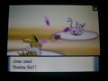 pokemon d/p wi fi battle fathertyme vs  james