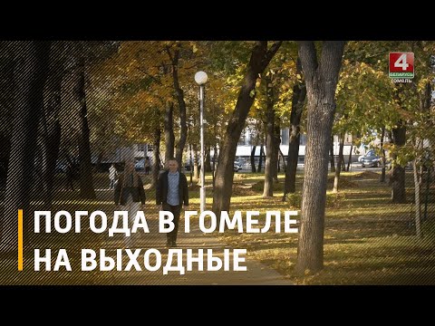 В Беларуси с 7 по 12 октября синоптики обещают дожди, туман и ночные заморозки видео