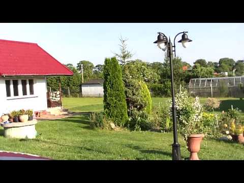 Zobacz film