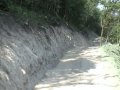 FS   5 FINITO IDROSEMINA MULCH COLLI EUGANEI