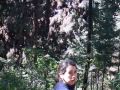 Visita al Santuario de la Mariposa Monarca Visita al Santuario de la Mariposa Monarca
