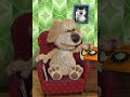 Part 10 (OMG! ARE YOU KIDDING ME? OVER 50000 VIEWS?!) Here is a sequel to this video since it has so many views. Please watch it! :) www.youtube.com Talking Ben the Dog - app for iPhone