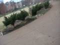 videos de 5 South 40