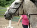 hudson summer jumping hudson summer jumping