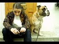 lyfe-jennings-never-never-land-hq-video.html
