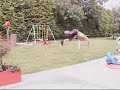 Garden Tumbling... Garden Tumbling...
