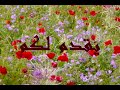 جريمة معمر القذافي في مظاهرة  17 أبريل 1984 لندن