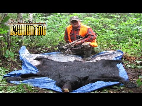 how to skin a bear for a rug