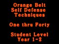 American Kenpo Karate Orange Belt Self Defense Techniques