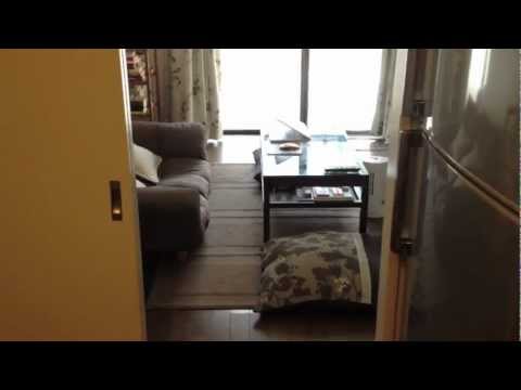 giapponese - Video del mio appartamento giapponese (Tokyo, Nerima). Vivo qui da marzo 2009 e tutto sommato mi trovo bene, ma penso sia chiaro dal video che il concetto it...