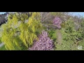 Parcul Alpinet + imprejurimi