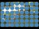 InBoardCompilation.wmv