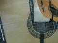 rumba flamenca