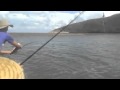 Barramundi Fishing