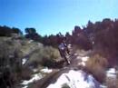 dave steiner quick mx