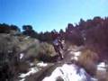 dave steiner quick mx