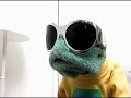 furtv   enter the dj