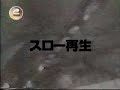 やしがにトンネル