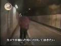 やしがにトンネル