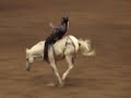 2007 IGRA Denver Gay Rodeo - Bareback Broncs