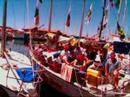 Dehler Magic in Hobart