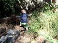 Miller Of The Jungle