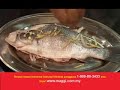 Maggi Studio Epi 9 Ikan Siakap Kukus