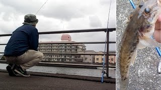 一体どうしちゃったんだ、鶴見川!? でっかいハゼのお造りで酒飲みました