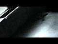 Lola Angst - Am I Dead?