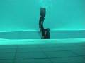 videos de nemo 33 for net.mpg