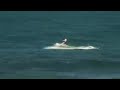 RED BULL KITE Ho okipa Beach 2005 hd LAVAOCEAN RED BULL KITE Ho okipa Beach 2005 hd LAVAOCEAN