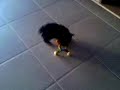 conny-range-ses-jouets.html