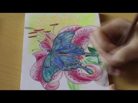 Мастер класс щенок хаски Мастер класс щенок хаски