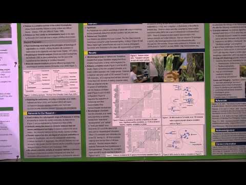 how to isolate arbuscular mycorrhizal fungi