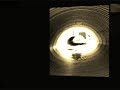 Variations Sérieuses Op 54 by Felix Mendelssohn performed (live) by Mark Gasser 2009