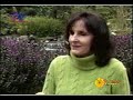 Cuidados de Jardineria