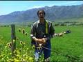 videos de Canada, the Musical