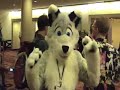 Furries at DragonCon 2006