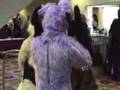 Furries at DragonCon 2006